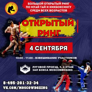 news 4 Сентября турнир по муай тай и кикбоксингу