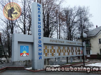 Секции и залы бокса в Железнодорожном - Moscowboxing