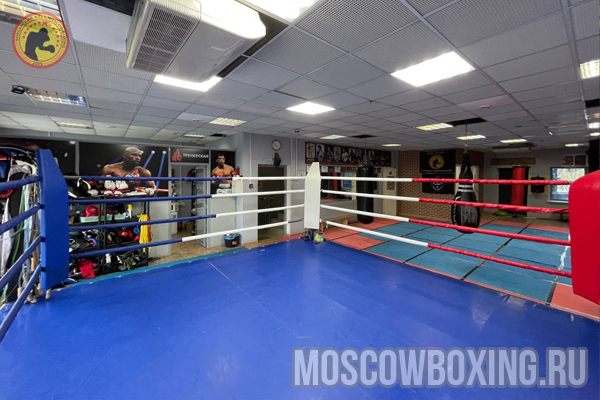 Бокс для детей Реутов Moscowboxing