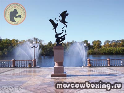 Секции и школы бокса в Биробиджане - Moscowboxing