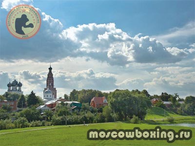 Секции и школы бокса в Бронницах - Moscowboxing