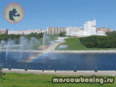 Секции и клубы бокса в Чебоксарах - Moscowboxing