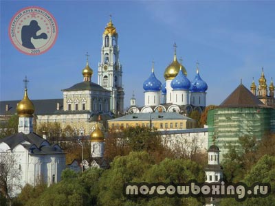 Секции бокса в Сергиевом Посаде - Moscowboxing