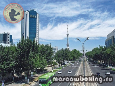 Секции и клубы бокса в Ташкенте - Клуб бокса Moscowboxing