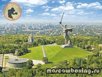 Секция бокса в Волгограде - Moscowboxing