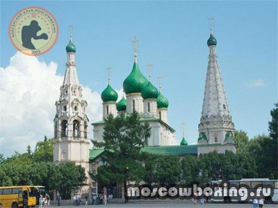 Секции и клубы бокса Ярославля - Moscowboxing
