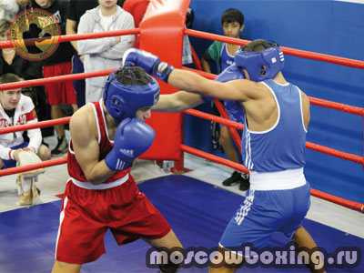 Секции бокса в Отрадном и Владыкино - Moscowboxing