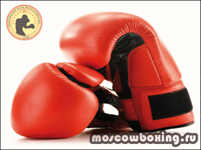 Как называются перчатки для бокса? - Клуб Moscowboxing