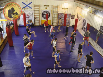 Тренировочные упражнения для начинающих и детей по боксу