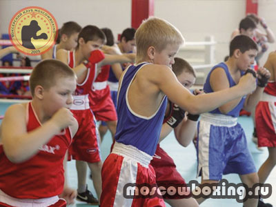 Тренировки по боксу для юношей